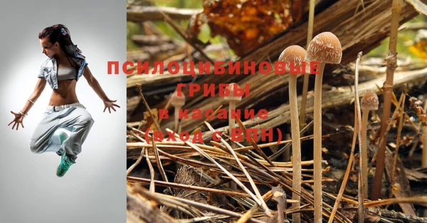 мескалин Карпинск