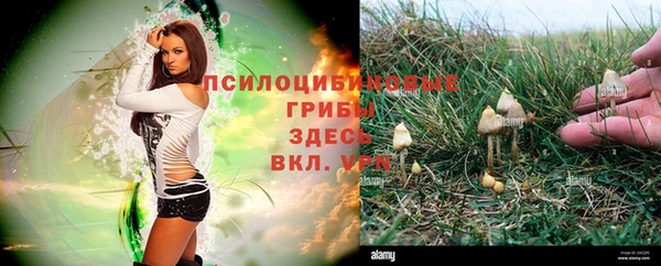 прущая мука Заволжье