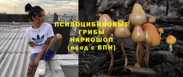 скорость Алзамай