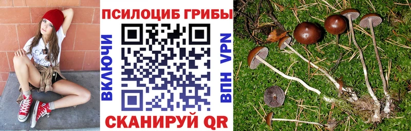 Псилоцибиновые грибы мицелий  наркотики  Талица 